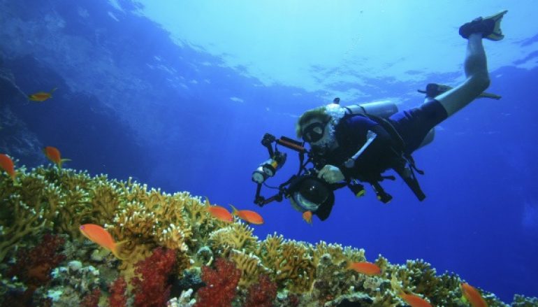 Things to Avoid Doing When Scuba Diving
