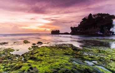 A Guide to Holidays in Bali