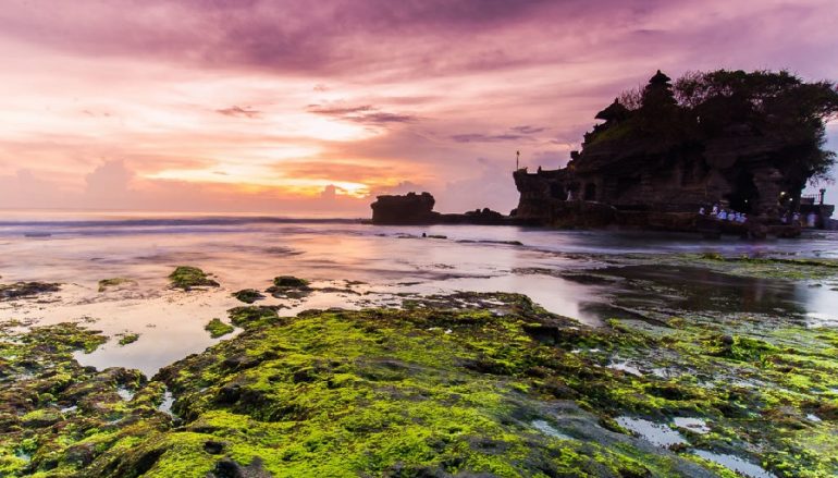 A Guide to Holidays in Bali