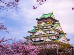 Places to visit in Japan during spring season