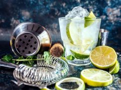 Types of Gins in the UK