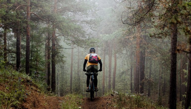 Mountain biking tours for nature and adrenaline lovers